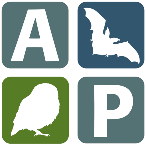 BTO Acoustic Pipeline