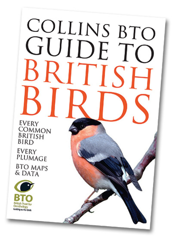 Collins BTO Guide to British Birds Front cover of Collins BTO Guide to British Birds