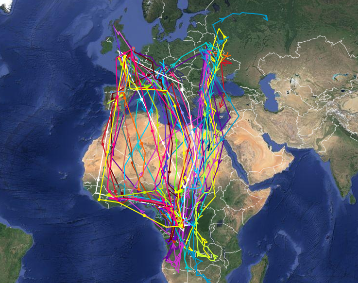 UK and European Cuckoo routes UK and European Cuckoo routes