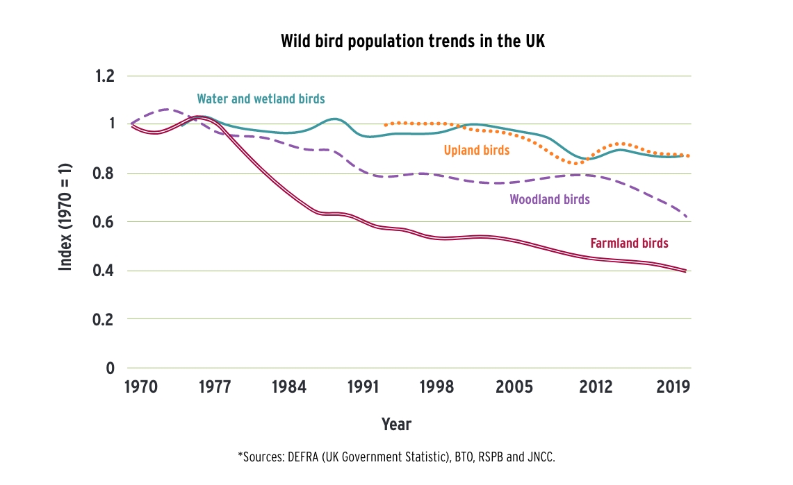 Graph of wild bird population trends in the UK 1970 to 2019 / BTO