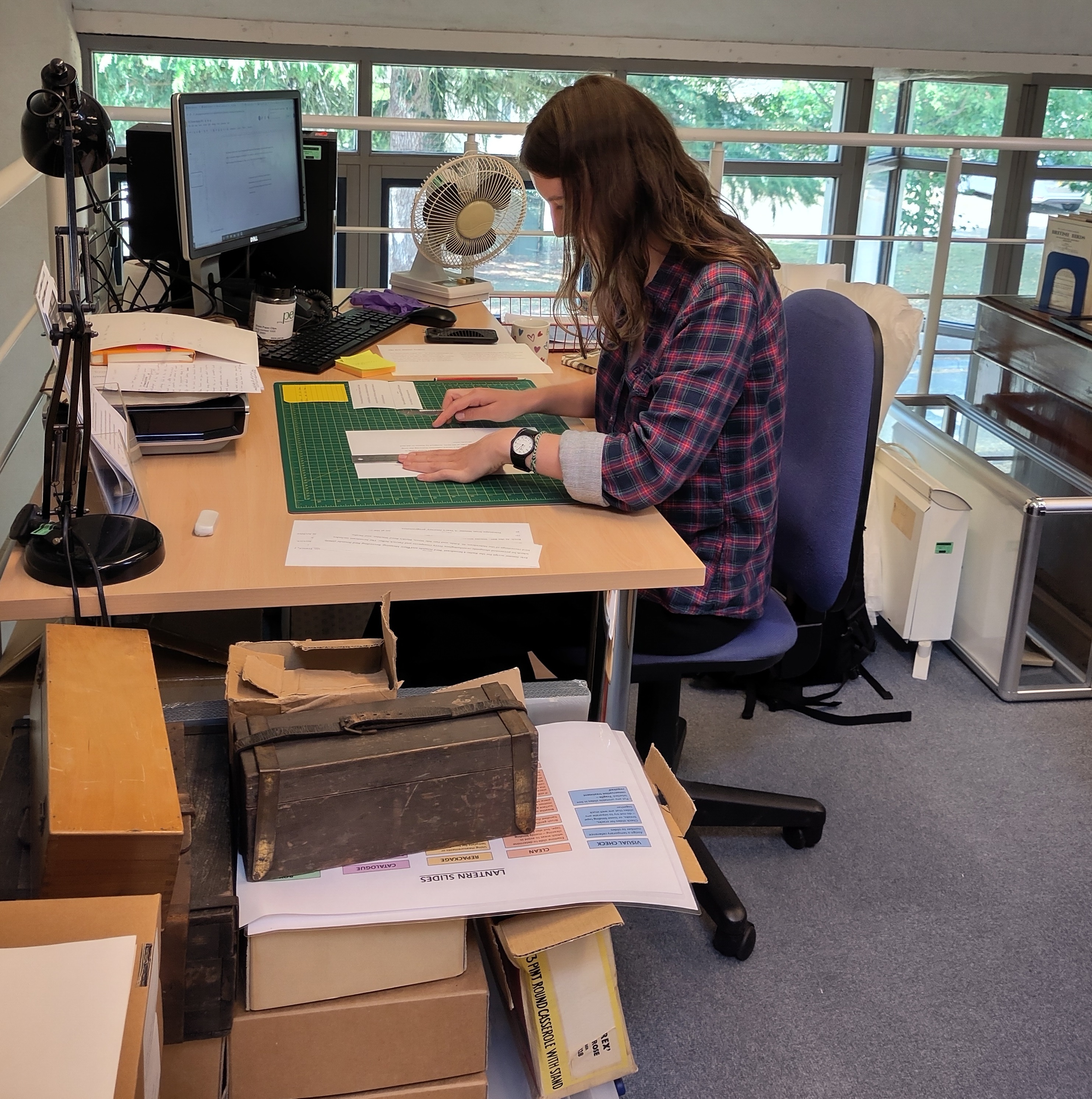 Cressida Hay working through boxes of Eric Simms' papers, by Viola Ross-Smith