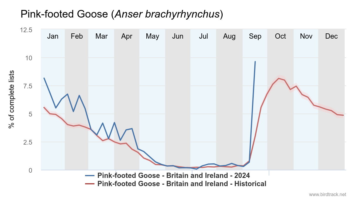 BirdTrack reporting rate graph, Pink-footed Goose