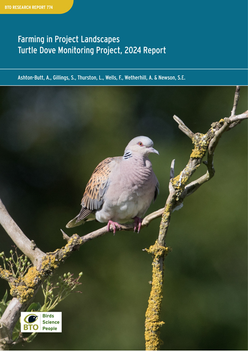 BTO Research Report 774 cover