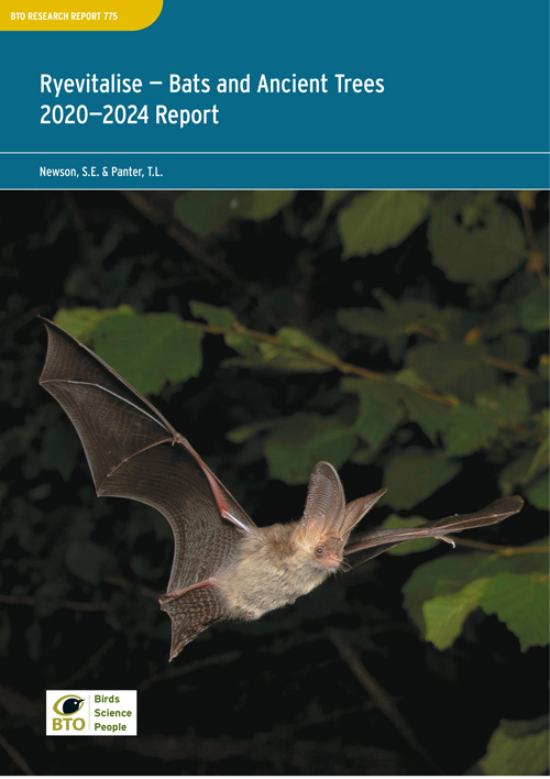 BTO Research Report 775 cover