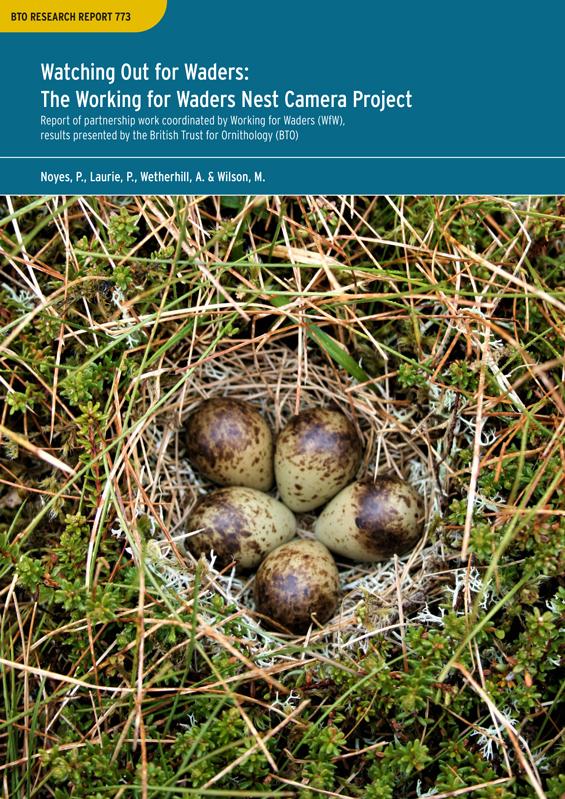 BTO Research Report 773 cover