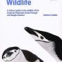 Antarctic Wildlife