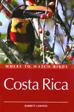 Where to Watch Birds in Costa Rica