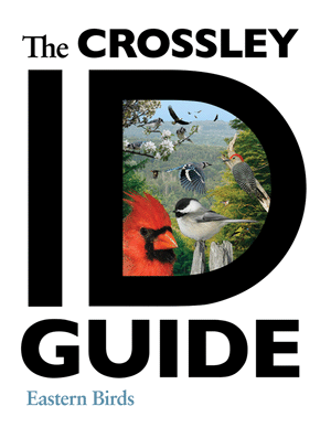 The Crossley ID Guide: Eastern Birds