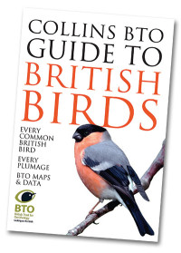 Front cover of Collins BTO Guide to British Birds