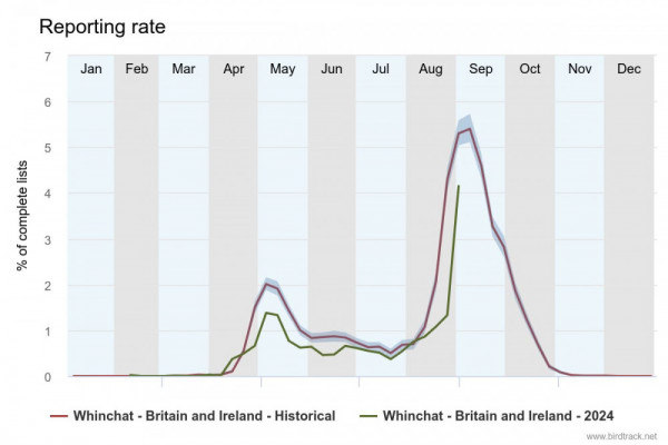 Reporting rates for Winchat, Jan–Dec 2024 / BTO