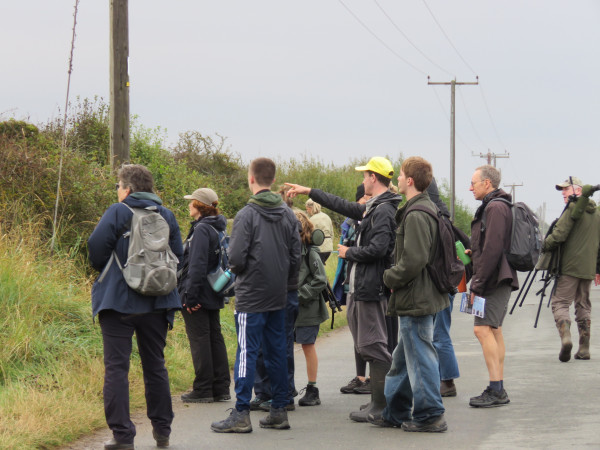 Guided walk at Spurn Migration Festival 2024, by Dawn Balmer