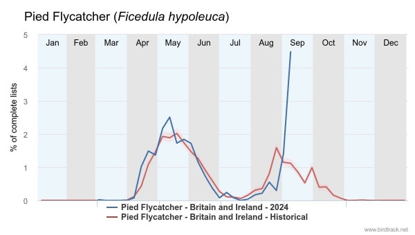 Pied Flycatcher BirdTrack reporting rate graph