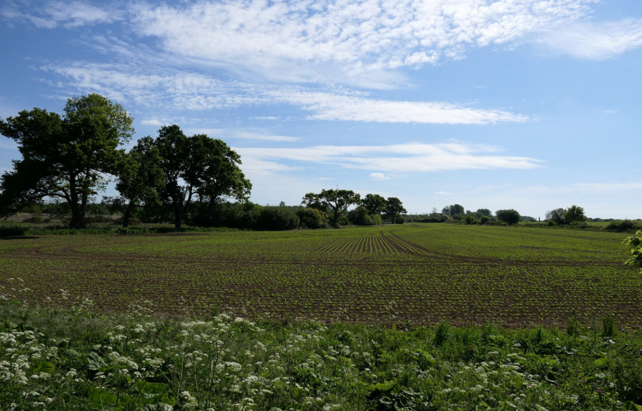 Farmland, by Mike Toms / BTO