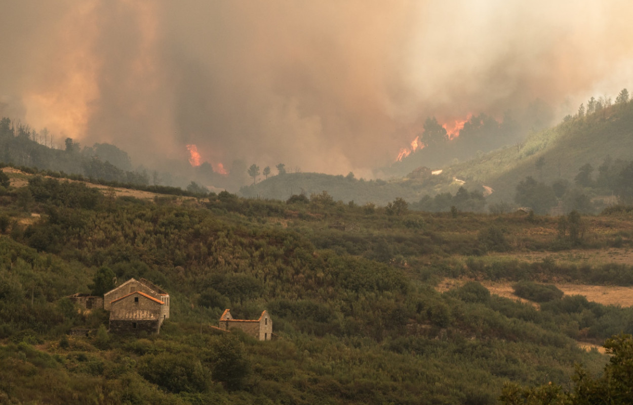 Fire in the Great Côa Valley, by Agata Rucin / Rewilding Portugal