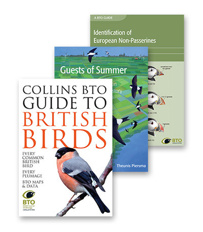 Rook  BTO - British Trust for Ornithology