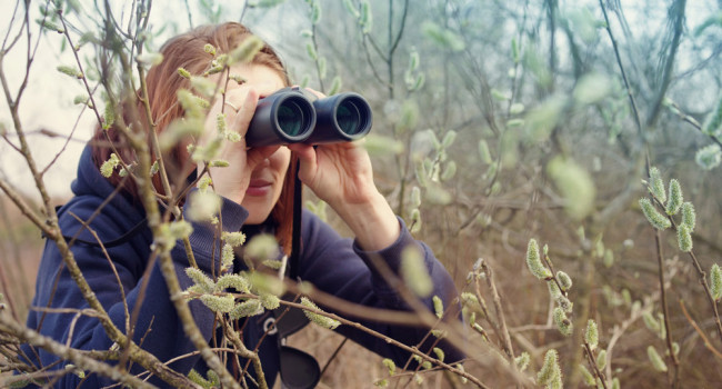 Woman birdwatching in the woods