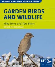 Garden Birds and Wildlife