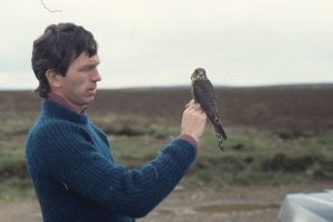 A younger Alan, also with a Merlin