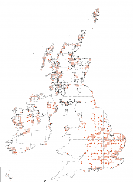 Common Tern | BTO - British Trust for Ornithology