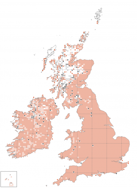 Linnet | BTO - British Trust for Ornithology