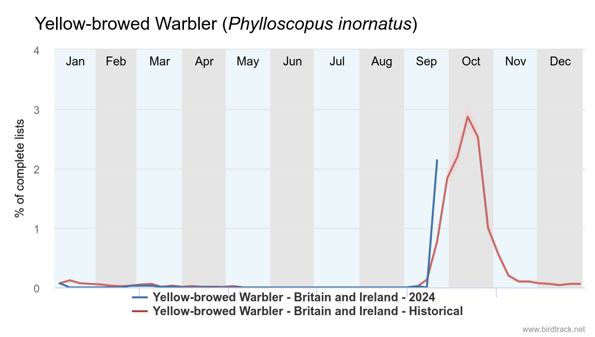 BirdTrack reporting rate graph, Yellow-browed Warbler